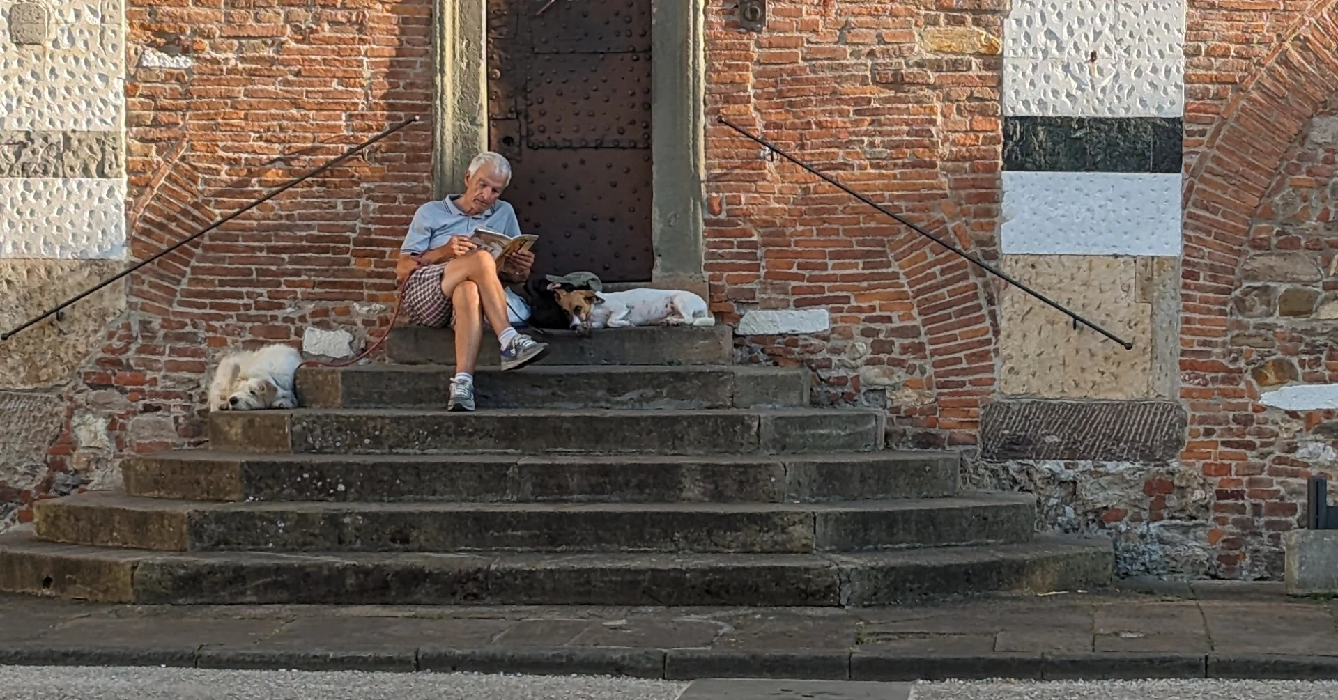 Man sitting on stairs reading book alongside dogs, Lucca, Italy, 2023, by Tobias Rade Evensen